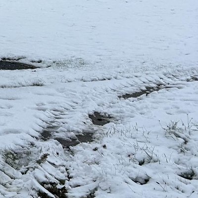 NAILGUNNING's profile picture. 