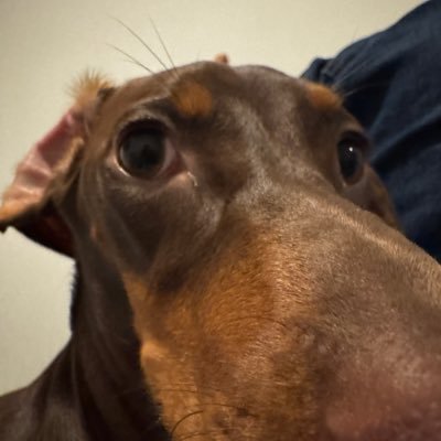 mateusetal's profile picture. dois doce e o resto francês