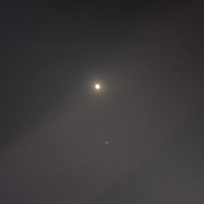 moonlouva's profile picture. 