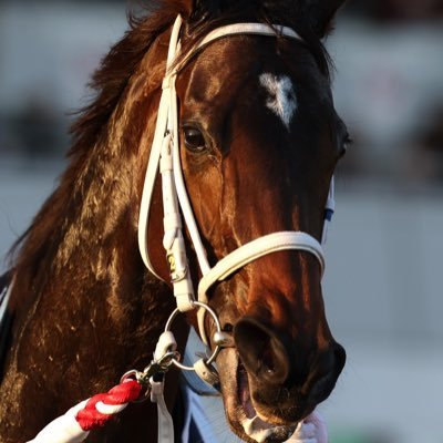 dreamdaiuke's profile picture. 