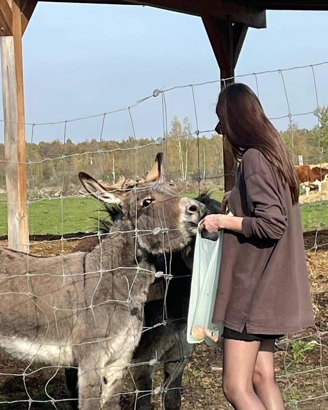 Thompso80880672's profile picture. 