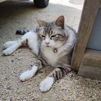 yukkans2's profile picture. DOBERMAN INFINITY»林和希                       
fashion»GYDA💓