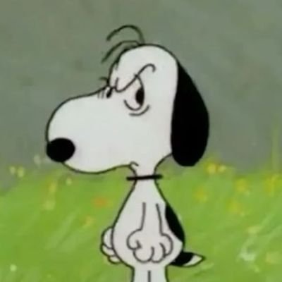 citlalli_h64's profile picture. 🌞