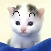 Ky Son Yu (@shadox_xix) 's Twitter Profile