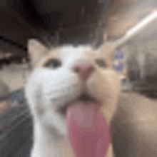 tdi2700's profile picture. 