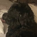 arthor - @RandiLevin1 - Twitter