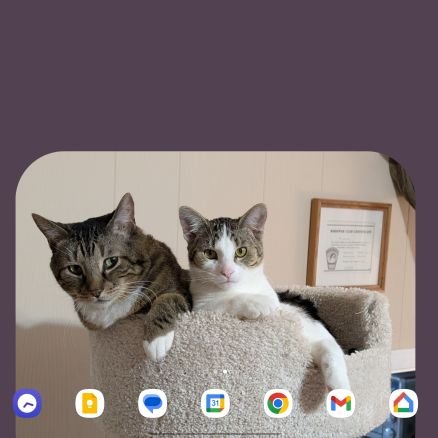 BaileyLeoa40264's profile picture. 