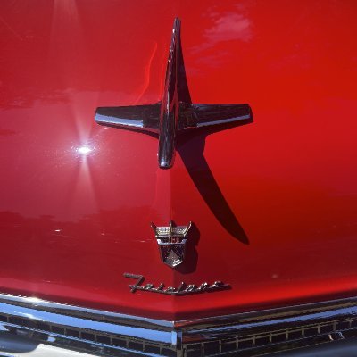 pbontoast1's profile picture. Old aviator
RWNJ destroyer
Stupid polls