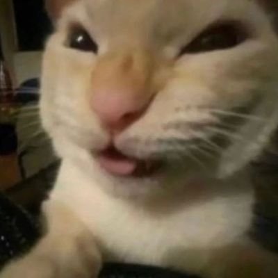 lynda83167's profile picture. 