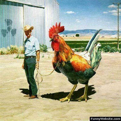 Naturalwon57991's profile picture. Explorer of nature’s hidden wonders 🌿 | Sharing the beauty & mystery of our amazing world 🌎 | Nature lover & storyteller 🍃