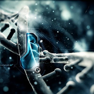 chaotic_order24's profile picture. I make stuff