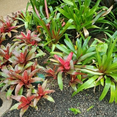 DJRaven_12's profile picture. 🖥|Entrepreneur: Brand Strategist, Marketer
    🌐|Travel, Food, HB, Entertainment
                   🎶|#lifeisgood