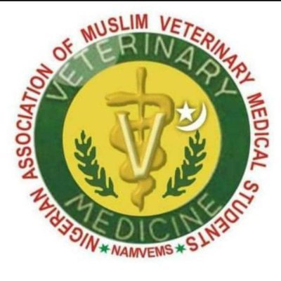 Namvems Unilorin