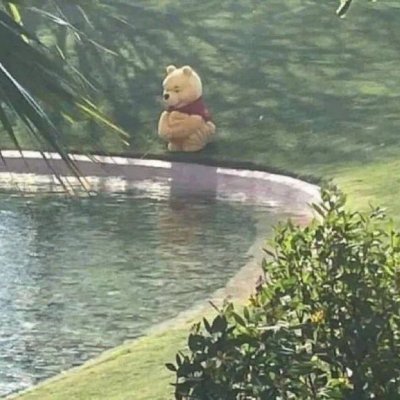 TAnderer58188's profile picture. 