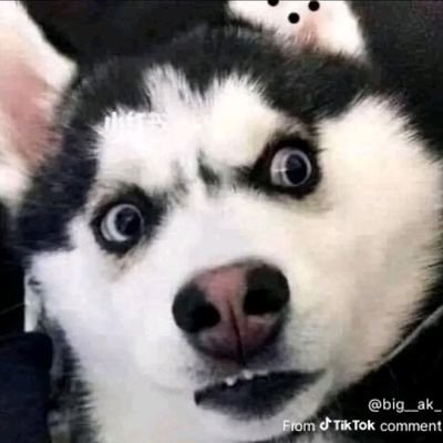 mustapha10996's profile picture. Not Yet bio ✌️😆