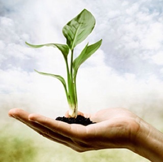 TheHolisticLife's profile picture. Addicted to an Organic & Eco-Chic Lifestyle • Holistic Nutrition & Naturopathy • Tea & Juicing Enthusiast • Vegan • Yogi • Activist • Foodie