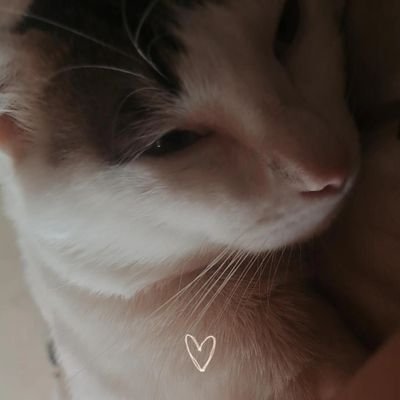 ylyampuero's profile picture. #siguemeytesigo