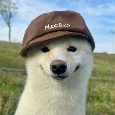 _Mordecai_Ke's profile picture. Software Developer,DM for Business.

For Fun: Demotivator//Memelord /Random humorous thoughts.