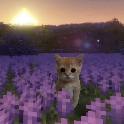 Pierreeich's profile picture. "All roads lead to Rome