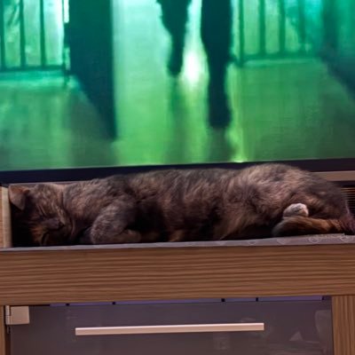 Mhlrifia98's profile picture. « fais le bien oublie-le, fais le mal souviens-toi » 💍 🇲🇦