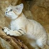 barberattic0712's profile picture. 