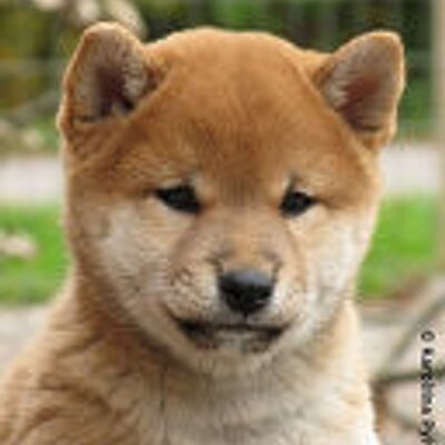 三上 静男 Sur Twitter 私の末娘の大学受験の結果が今日出ました 第一志望の筑波の桜は散りました 第二志望の所沢の桜は咲いています 自分の母校も受かっていますが 問題外のようです 父親としては 嬉しくもあり 悲しいような 三上 静男 Sur Twitter 私の末娘の大学受験の結果が今日出ました 第一志望の筑波の桜は散りました 第二志望の所沢の桜は咲いています 自分の母校も受かっていますが 問題外のようです 父親としては 嬉しくもあり 悲しいような