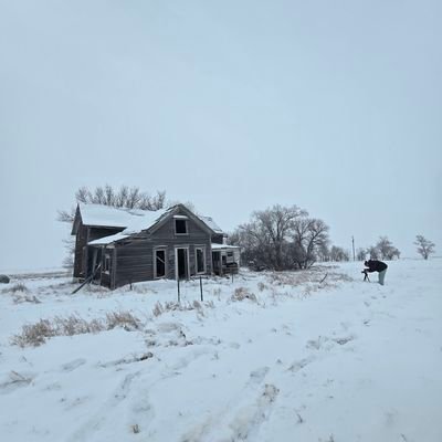 HomeGroen's profile picture. Artist 

https://t.co/0QjVV4J8G8