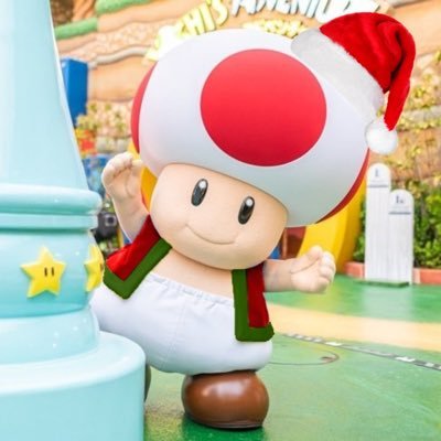 ChonkyToad's profile picture. 19| Loves Mario,Kingdom Hearts, Shadow the Hedgehog ,and ChonkyToad|🇵🇷| Autistic and Bisexual| Banner created by @_Violet_156| Cynthia 🥰