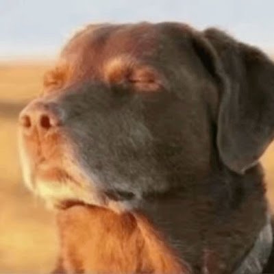 Kingcake224's profile picture. 