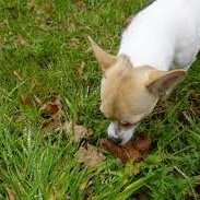 kratzerpilot071's profile picture. 