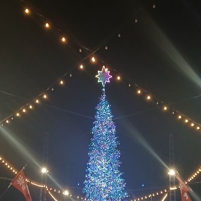 BrandonSut62841's profile picture. Hello world I will like to welcome too my space where we create and not hate lets build together, I am a entrepreneur , software engineer, Superhero, Influencer