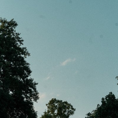 damanimc_'s profile picture. 