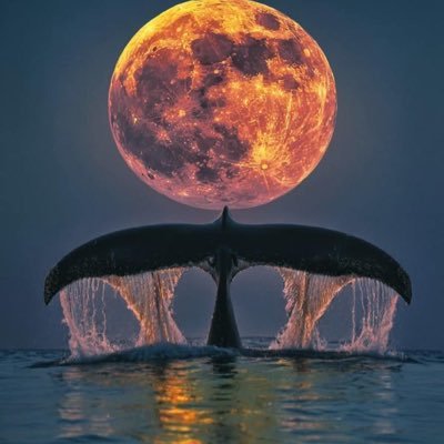 Niola_x's profile picture. Grateful Heart. Grow with me.