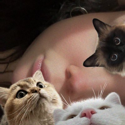 pulisaurio's profile picture. cómeme los cocos