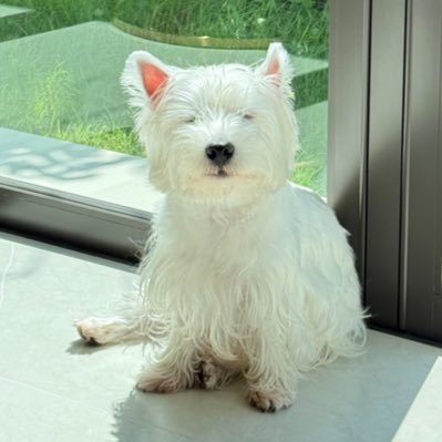 ping_orbnithi's profile picture. 