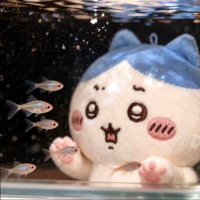 cinnamoluuv's profile picture. 🫧☆  chiikawa & red velvet & art  ♡