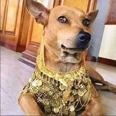 DylanAltHolder's profile picture. 