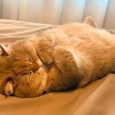 hnamnsr's profile picture. wifey to Huzaifah•

❤️