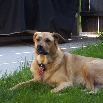 DJSan44's profile picture. 