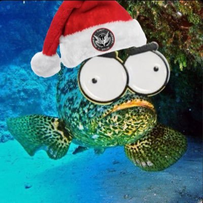btc_grouper's profile picture. The Bitcoin Grouper can reach 8.2 feet and about 21,000,000 pounds. BTC Grouper are found in tropical waters and will move to any depth that $BTC dips.