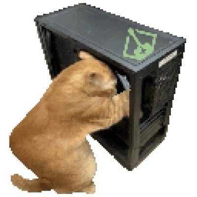 2Kenny231's profile picture. 