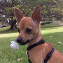 Alison Farrell - @alluash - Twitter