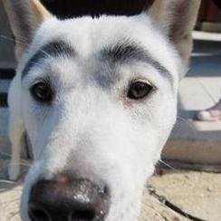 kang89kr's profile picture. engineer. building things that matter.