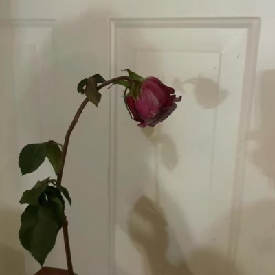 Guszczers's profile picture. https://t.co/FBeg7ucJUq