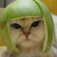 LeGaulois_'s profile picture. Sa beauté est « terrible comme une armée rangée en bataille » (Cant. 6, 4)
Son regard est fixé sur les choses d’en haut (Col 3, 1)