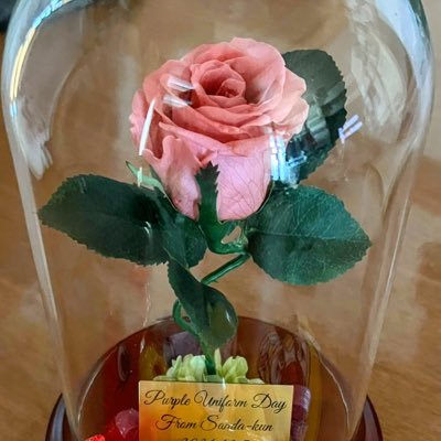 yasuko908's profile picture. 猫様の下僕🐈🐈🐈 ／🌈SPL年パス／🏀観戦（'20-'21〜）群馬クレインサンダーズ⚡️♯32♡💃♡🐥⚡️♡／HANA🌹ｺﾊﾏﾋ寄りの束推し🍯🐝／ロイヤルギャル／LUNA SEA／ i-dle／👩🪽15歳で天使になった娘と共に生きる人生／関係者様以外の画像の無断転載禁止