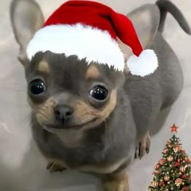 hola12331897's profile picture. 