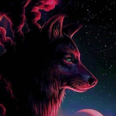 calebthefurry0's profile picture. I’m Caleb Furry Friendly I love furry wolf and fox and love to meet new people