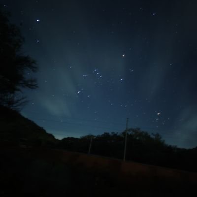 pushti8431's profile picture. 