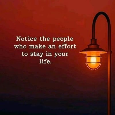 MheeKhall47199's profile picture. 